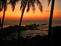 cuban beaches, memories, cuba, palm trees